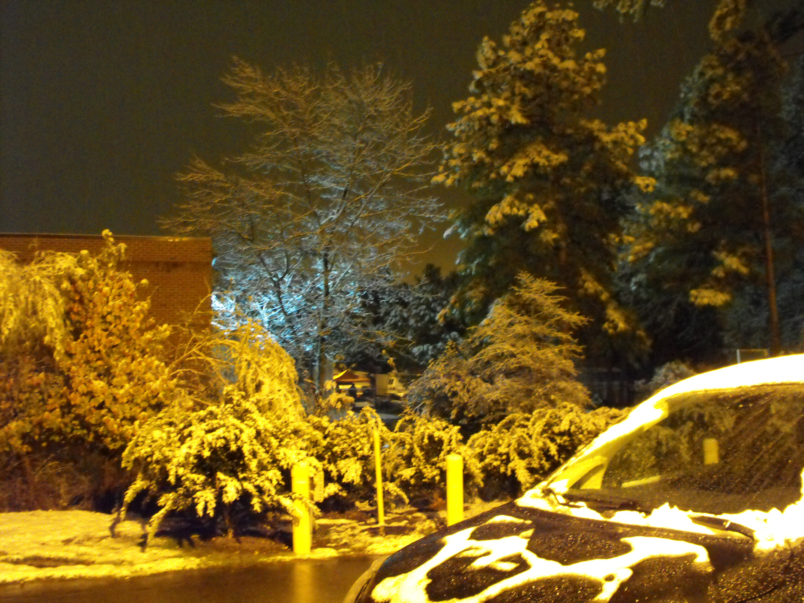./2010/Snow/Snow Dec 4 0001.JPG
